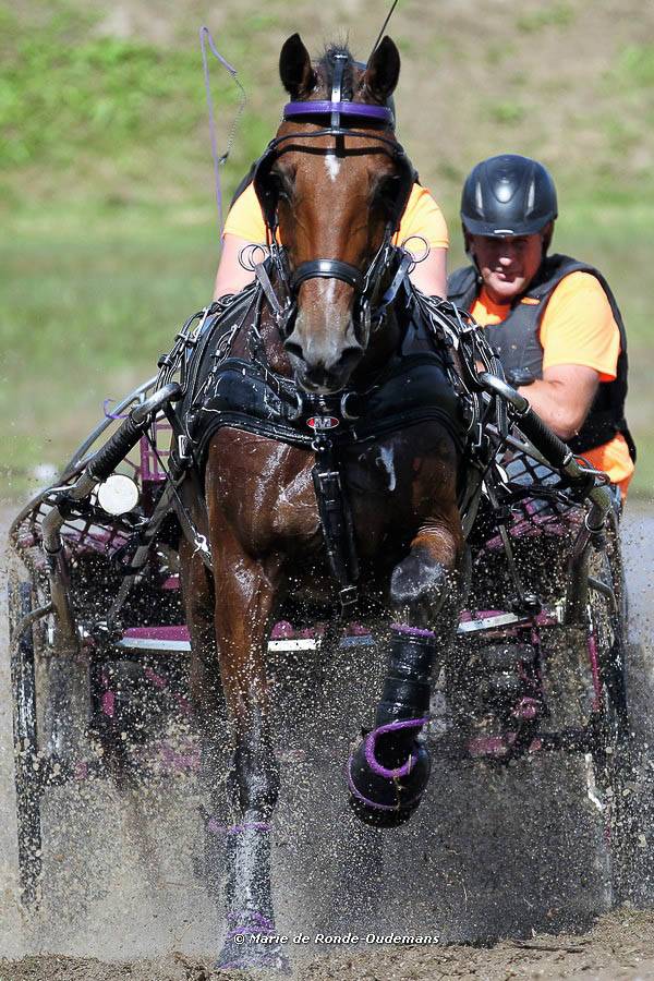 Beesd: Zinderend slot NK ponymennen